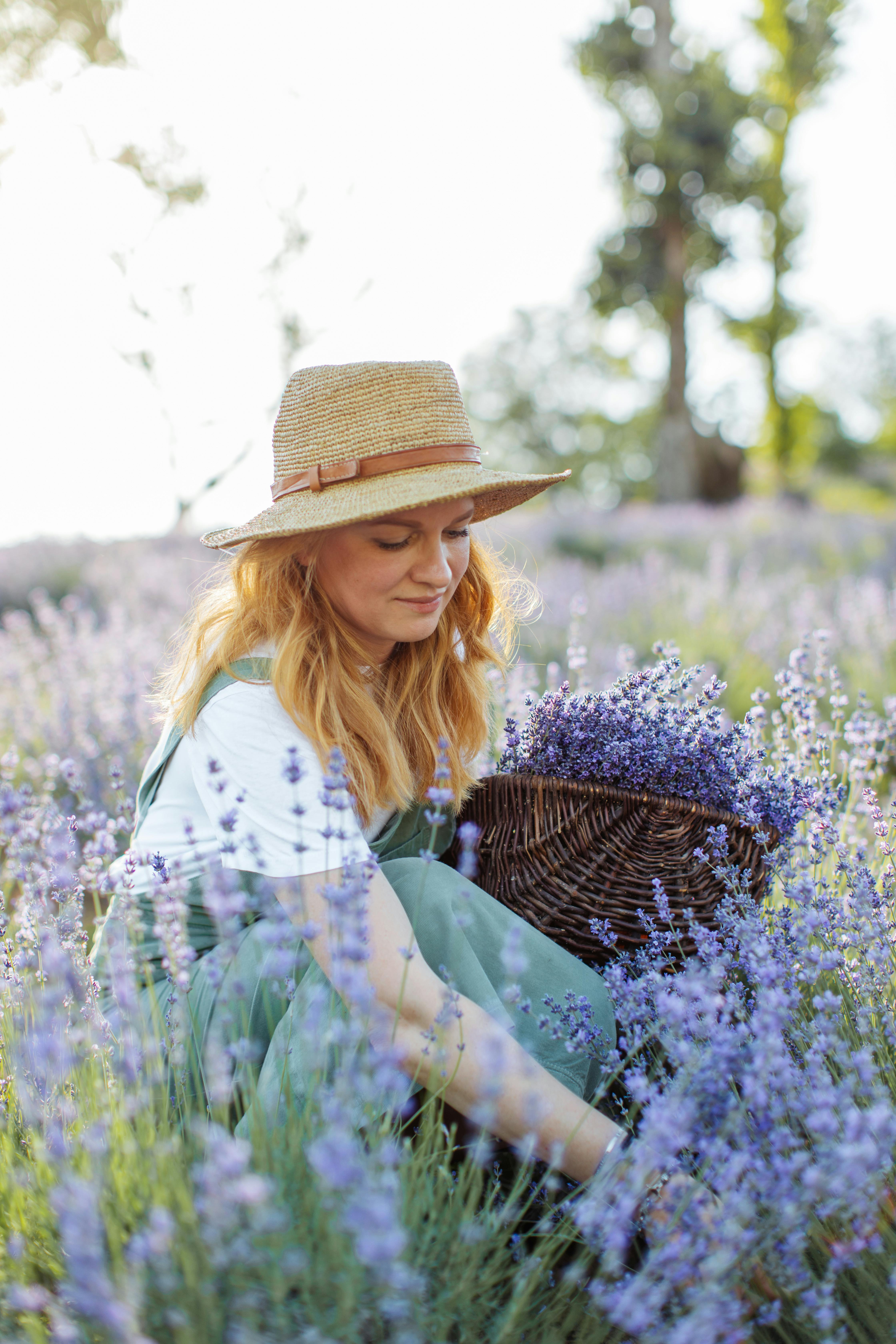 Harvesting botanicals at dawn